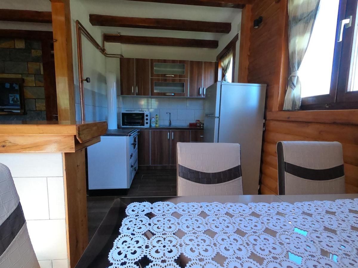 זבליאק Guest House Tara מראה חיצוני תמונה