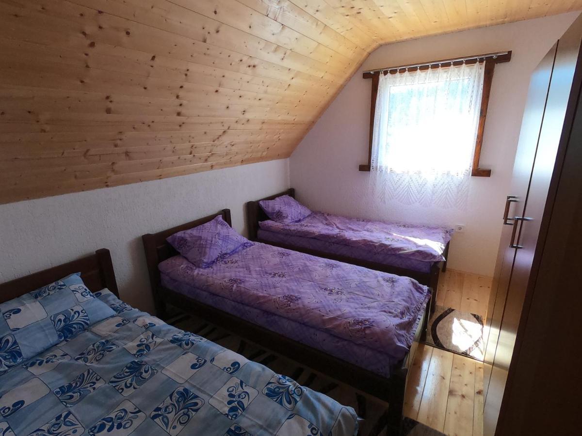 זבליאק Guest House Tara מראה חיצוני תמונה